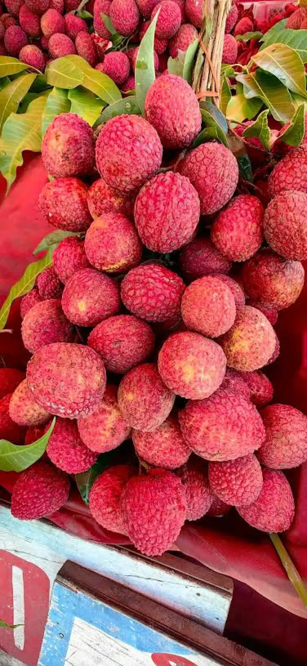 Lychee