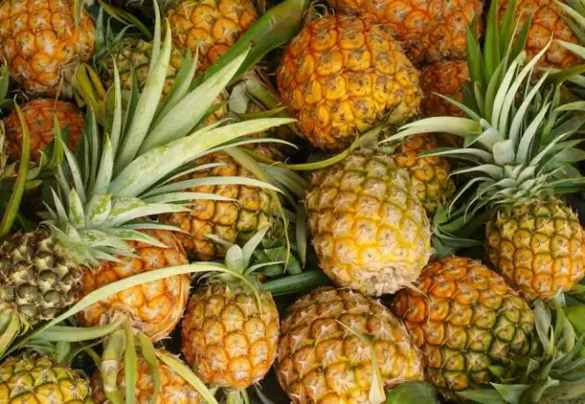 Pineapple
