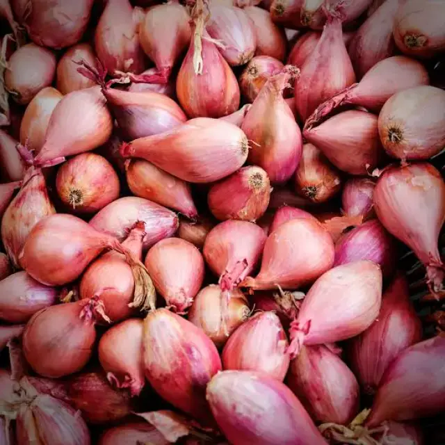 Thai Shallots