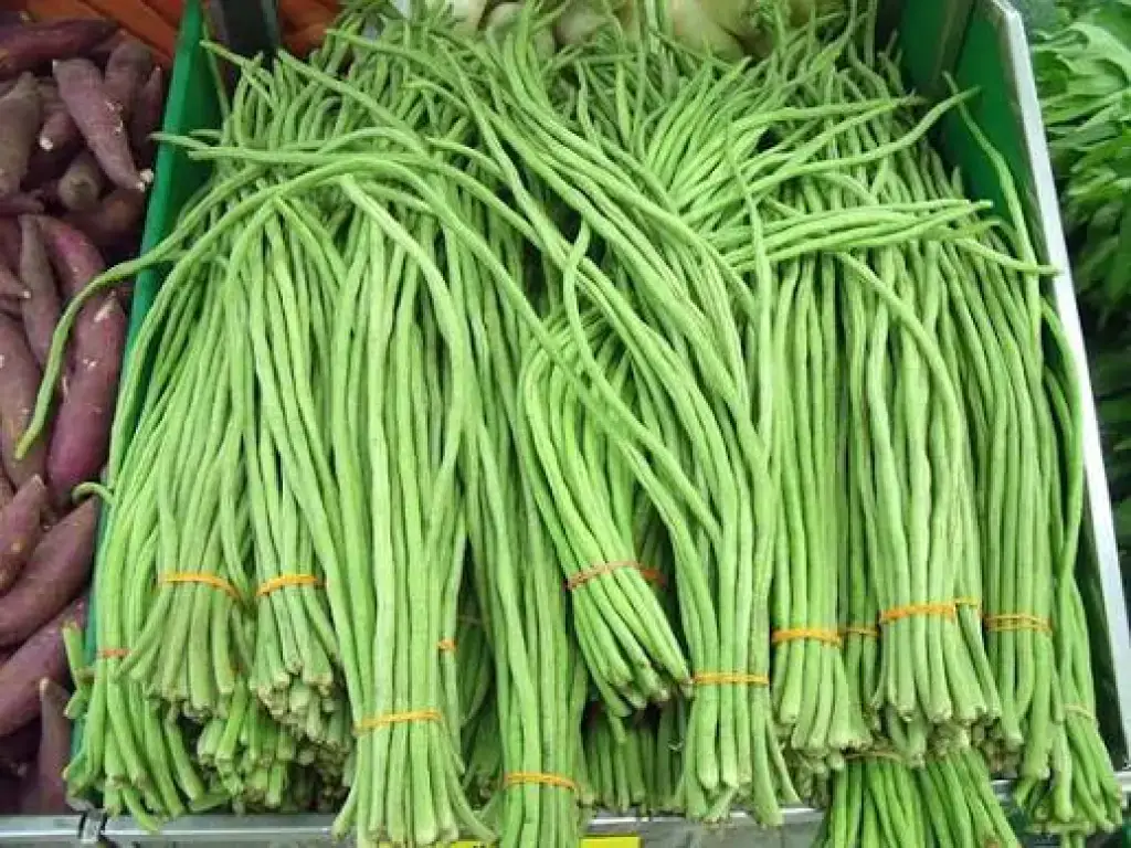 Yard-long Beans