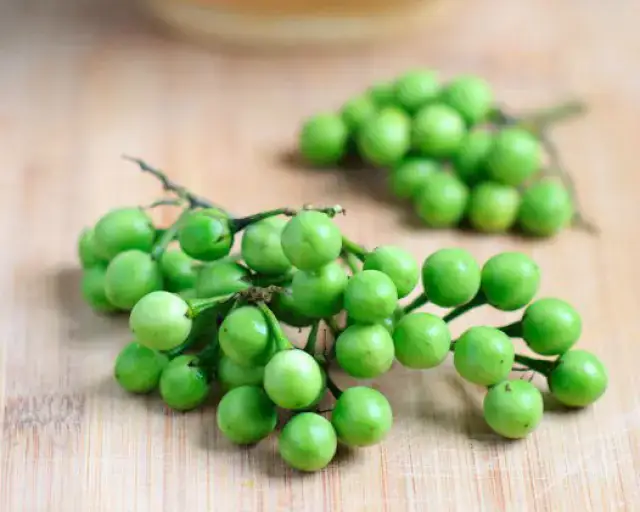 Pea Eggplant