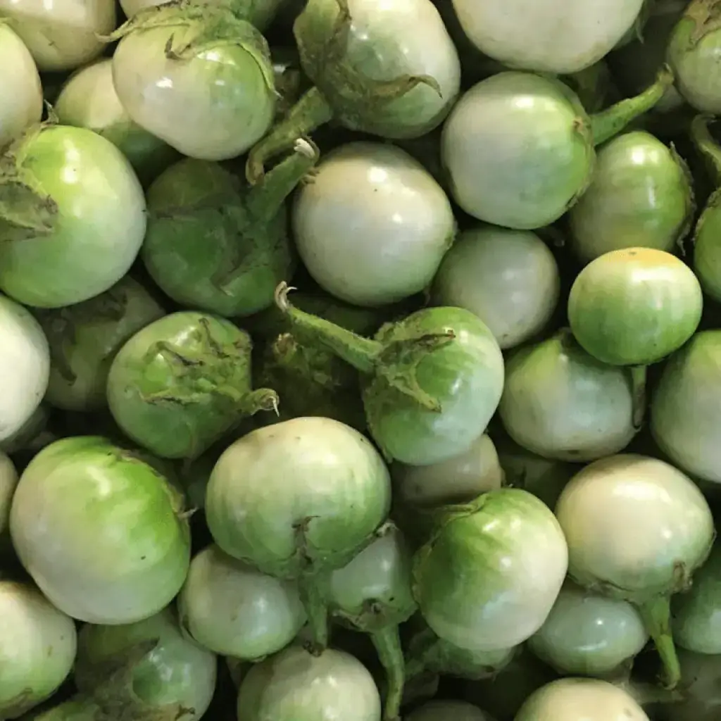 Thai Eggplant