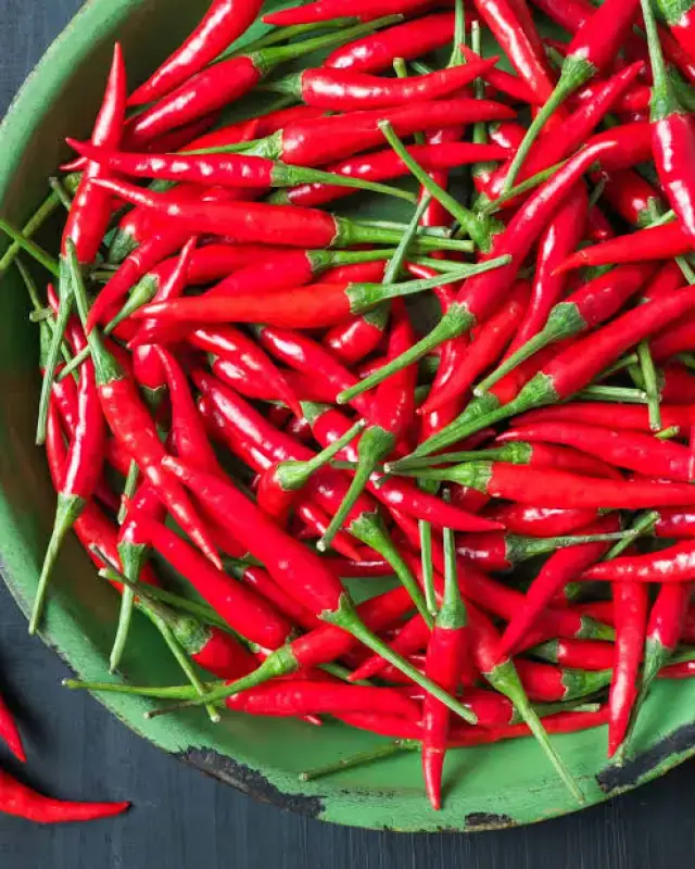 Bird’s Eye Chilli