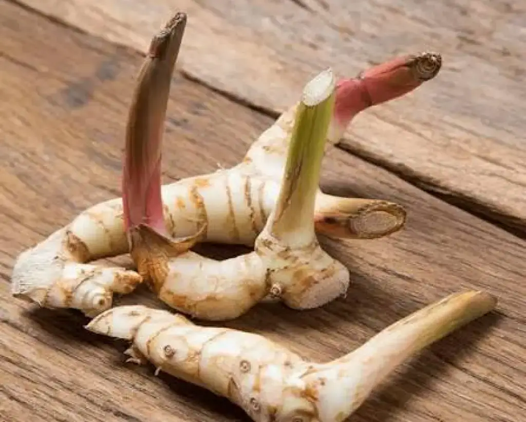 Galangal