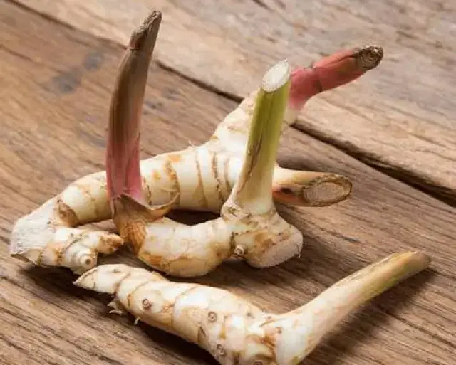 Galangal