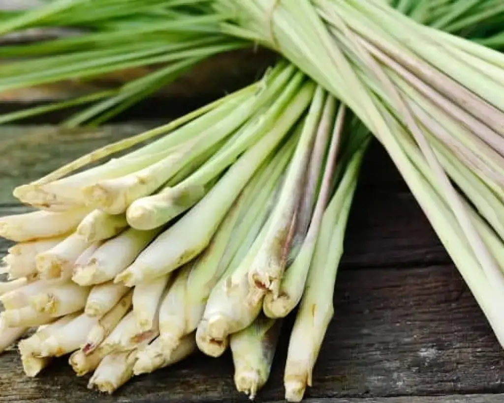 Lemongrass