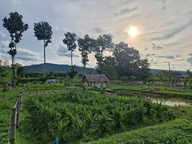 Isaan (Northeastern Thailand)