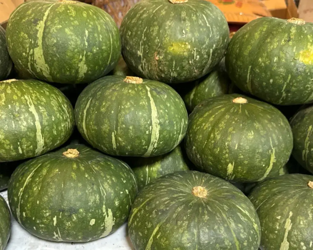 Pumpkin