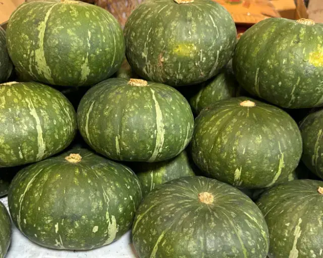 Pumpkin