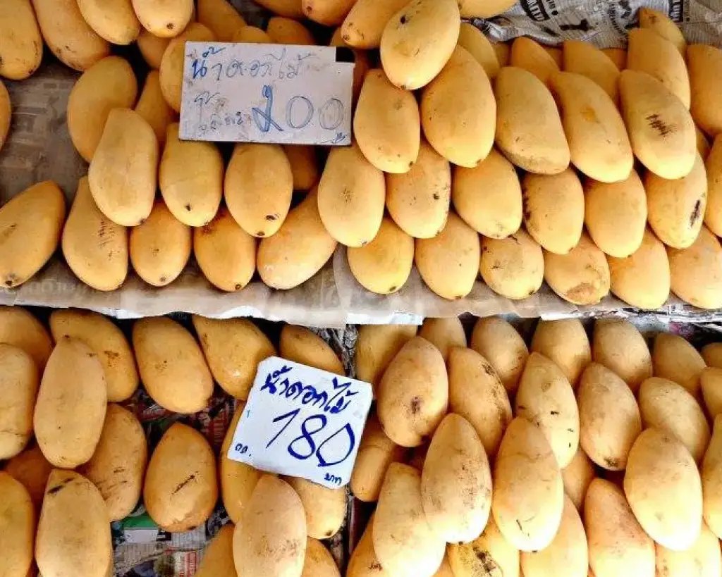 Mango