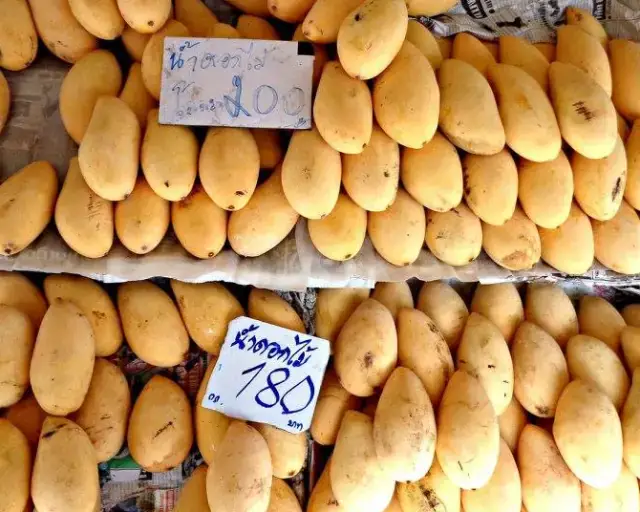 Mango