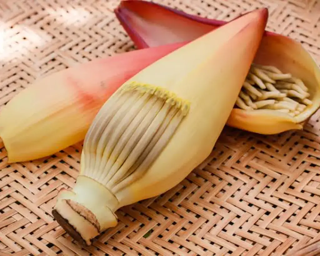 Banana Blossom