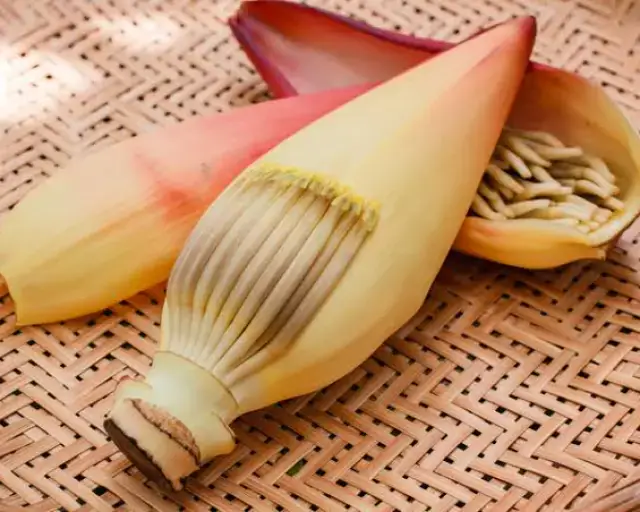 Banana Blossom