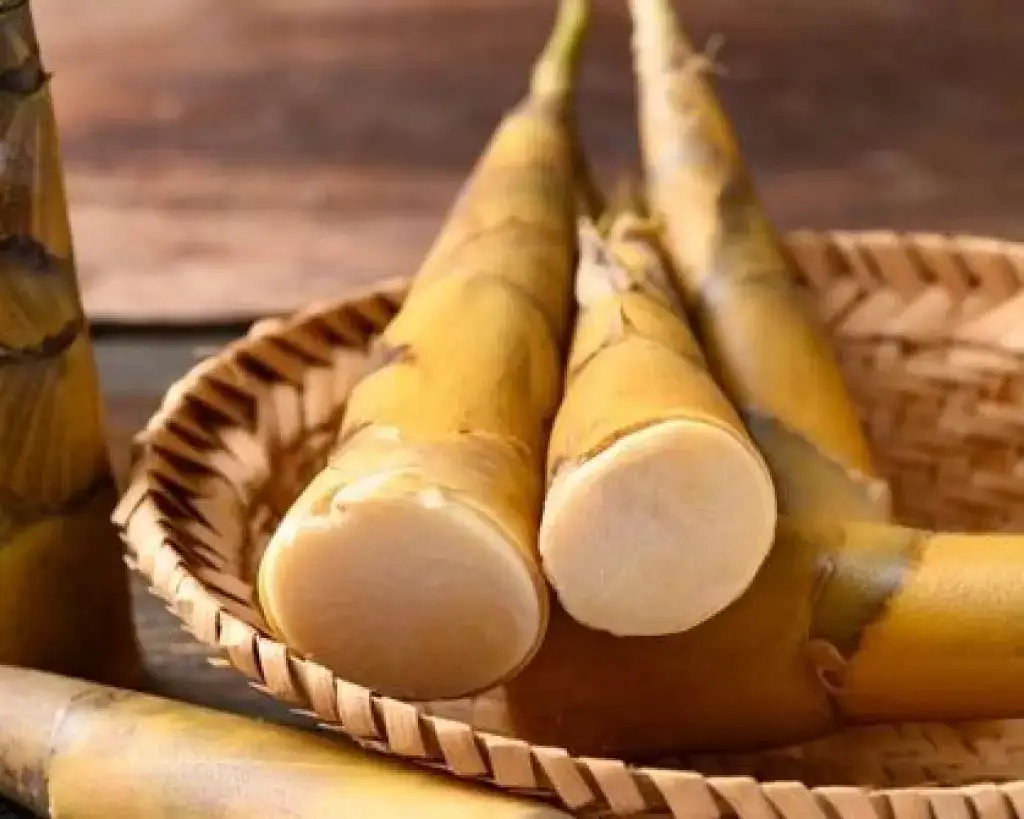 Bamboo Shoots