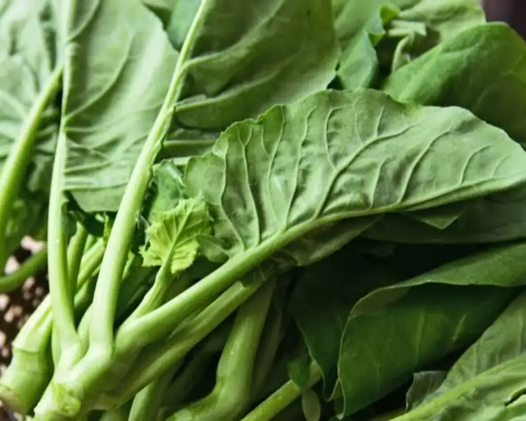 Chinese Kale