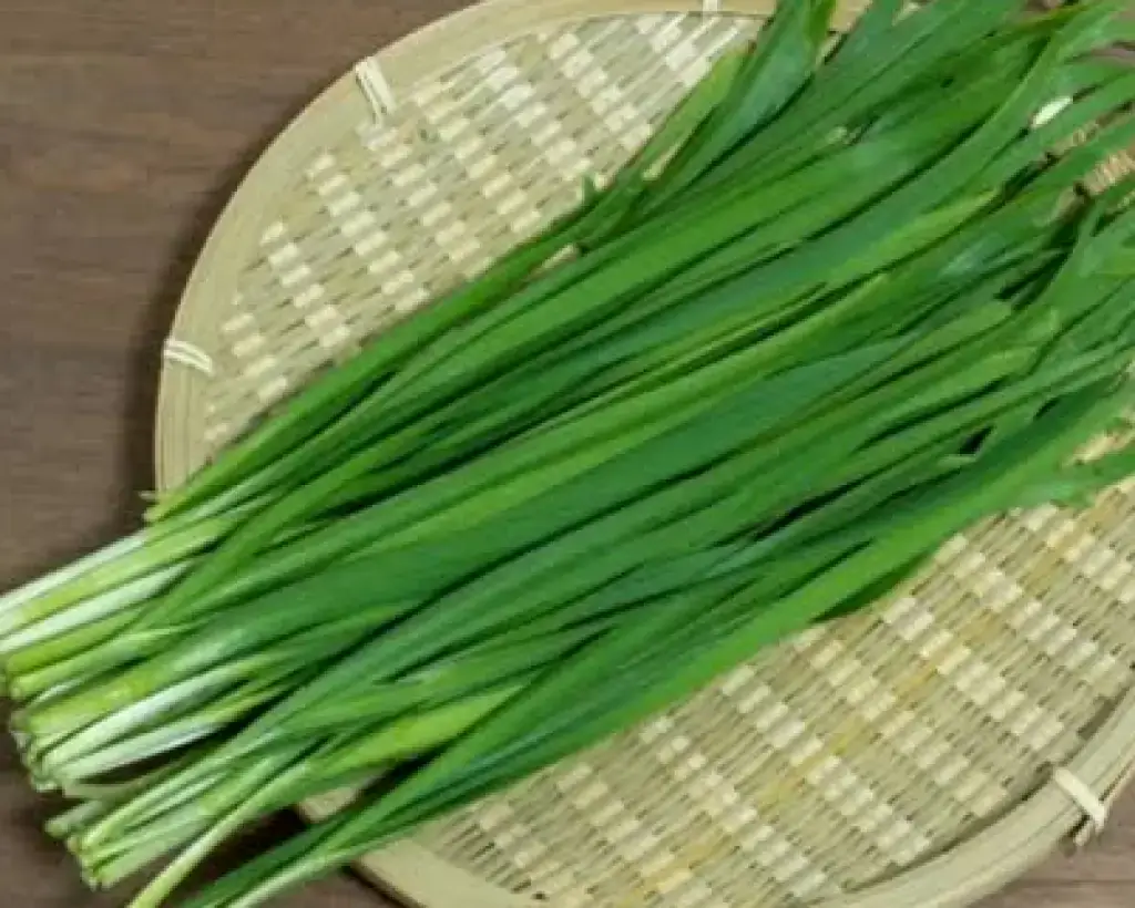 Garlic Chives