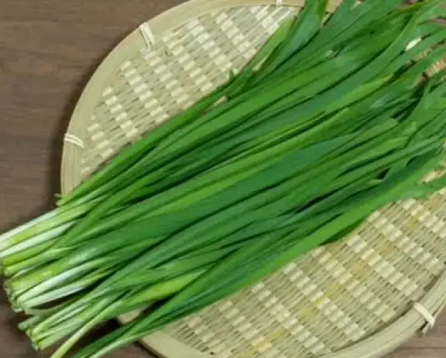 Garlic Chives