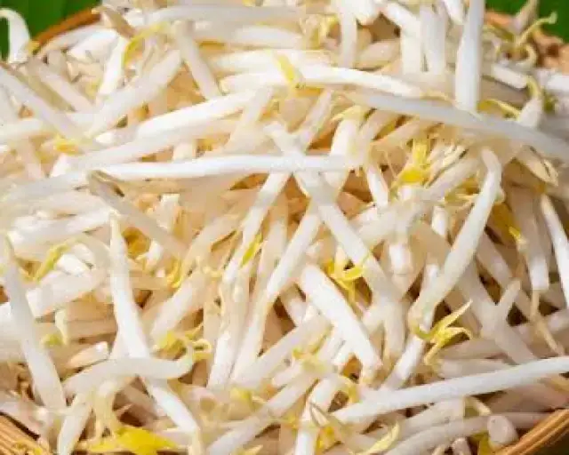 Bean Sprouts