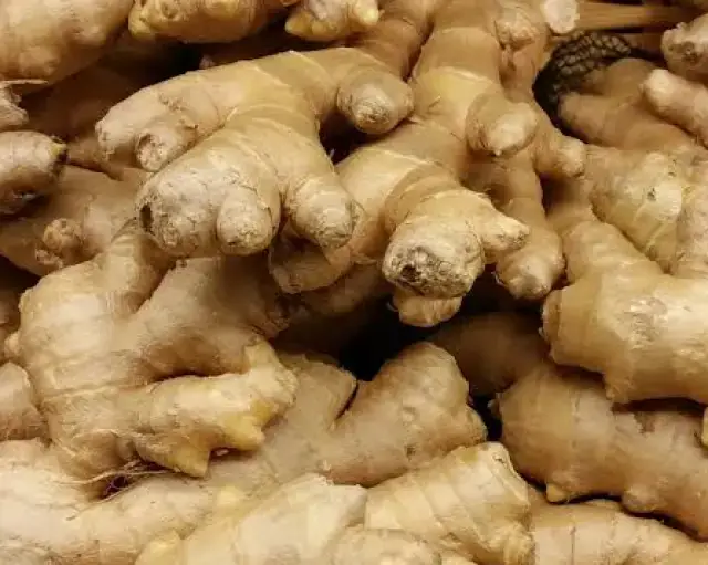 Ginger