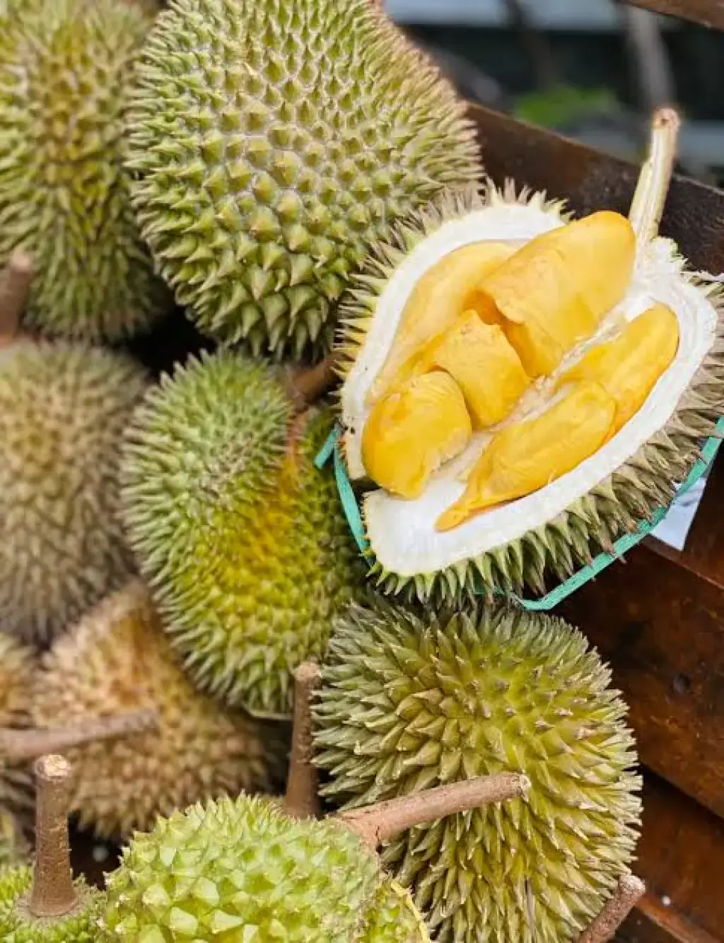 Durian