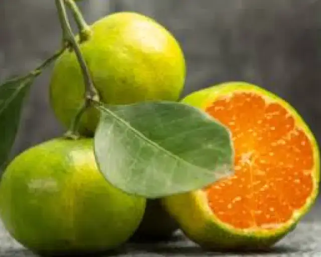 Thai Tangerine