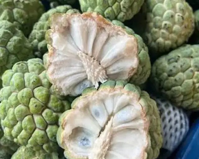 Custard Apple
