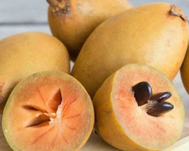 Sapodilla