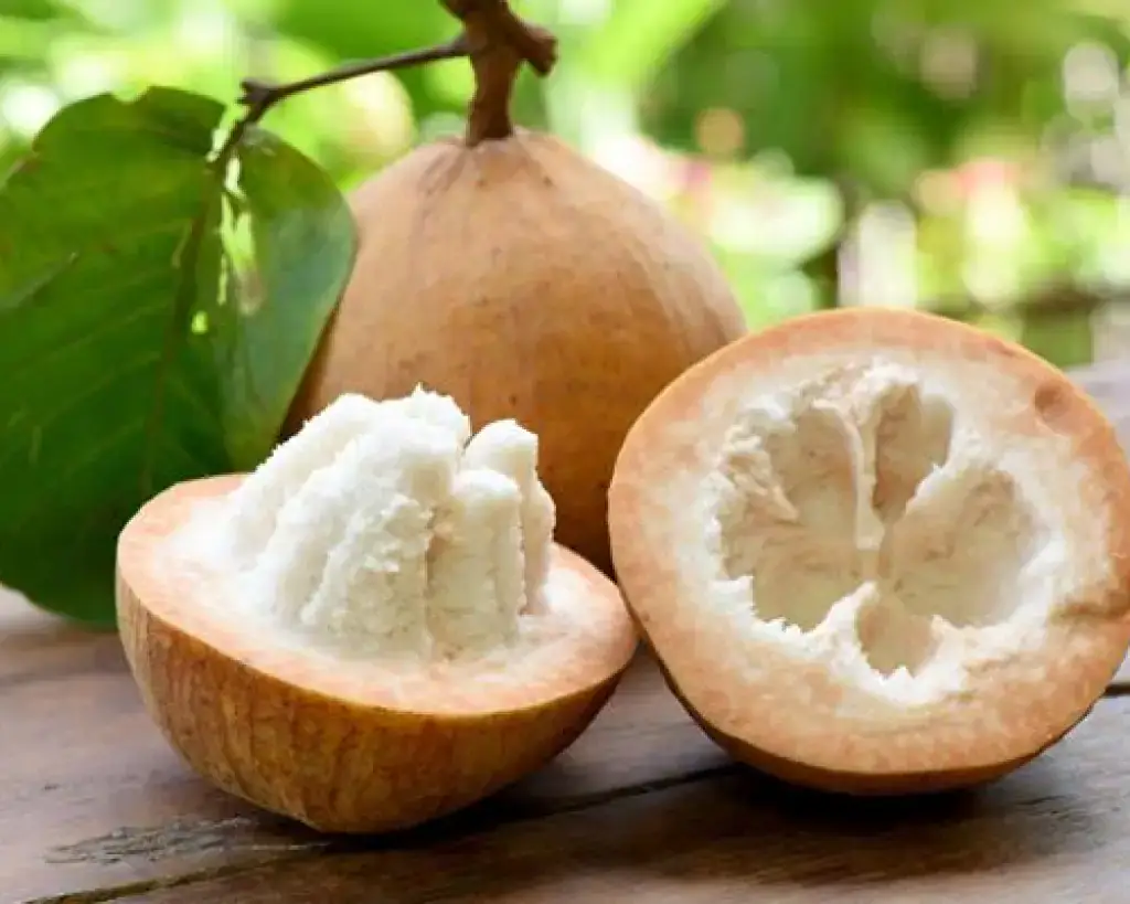 Santol